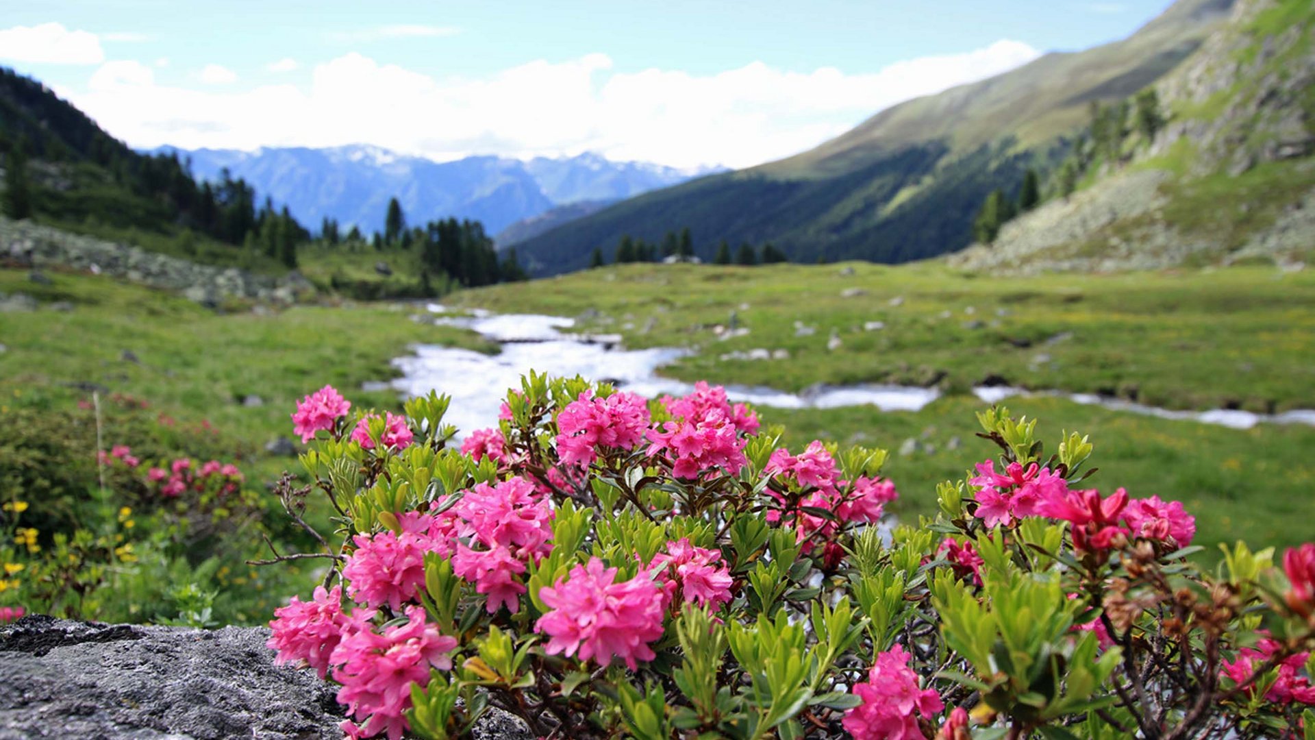 Ihr ideales Wanderhotel in Tirol Ihr ideales Wanderhotel in Tirol