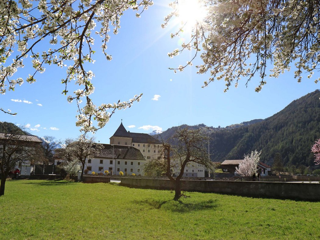 Sigmundsried Castle – always worth a visit! Sigmundsried Castle – always worth a visit!