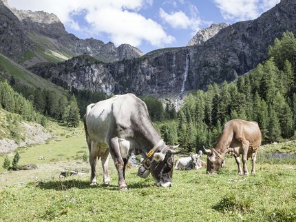 Ihr ideales Wanderhotel in Tirol Ihr ideales Wanderhotel in Tirol