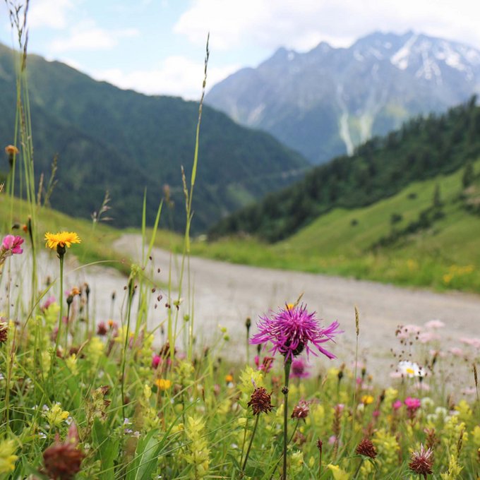 Ihr ideales Wanderhotel in Tirol Ihr ideales Wanderhotel in Tirol