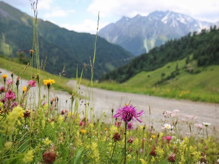 Entdecken Sie die Tiroler Bergseen. Entdecken Sie die Tiroler Bergseen.