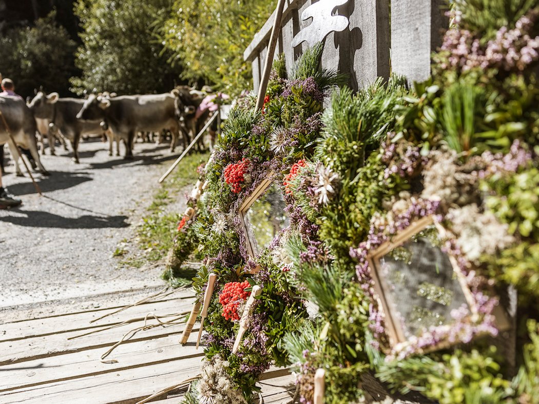 Vorfreude auf den Almherbst im Tiroler Oberland Vorfreude auf den Almherbst im Tiroler Oberland