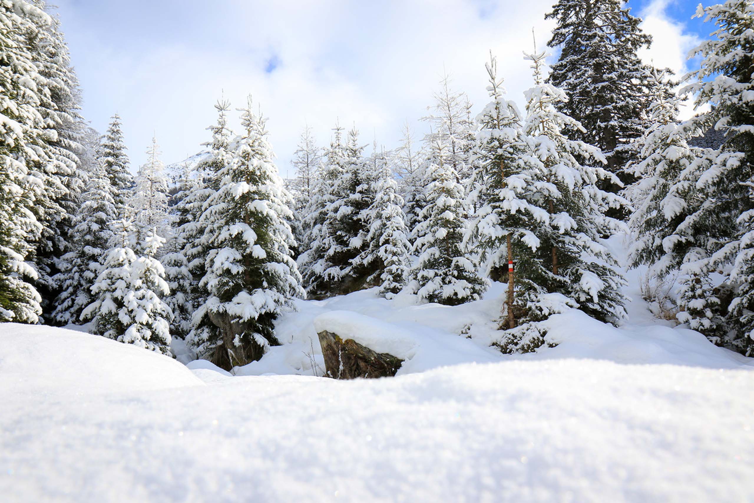 Skitouren Im Tiroler Oberland